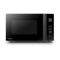 Preview: Toshiba MV-SAM20T
