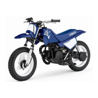 Preview: Yamaha PW50W 2007