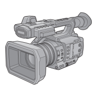 Preview: Panasonic AG-UX170