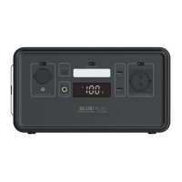 Preview: BLUEPALM BP-300OK