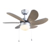 Fan Logo