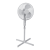 Fan Logo