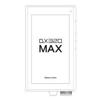Preview: iBasso Audio DX320 MAX
