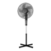 Fan Logo