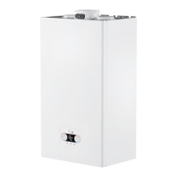 Preview: Riello Vokera VIBE MAX