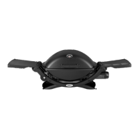 Preview: Weber Q 2200