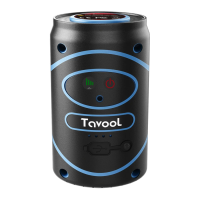 Preview: Tavool T06