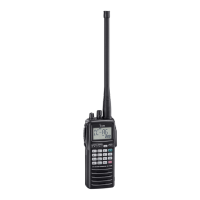 Preview: Icom IC-A24