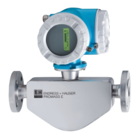 Preview: Endress+Hauser Promass 40