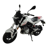 Preview: Benelli TNT125