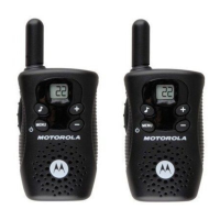 Preview: Motorola FV150