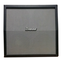 Preview: Ibanez Tone Blaster 412A