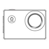 Preview: strex SP257