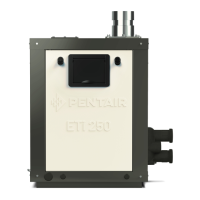 Preview: Pentair ETi 250