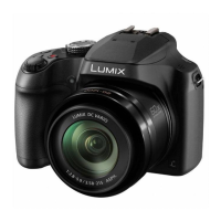 Preview: Panasonic LUMIX DC-FZ81