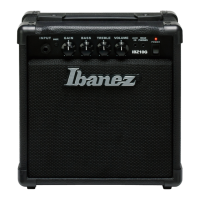Preview: Ibanez IBZ10G