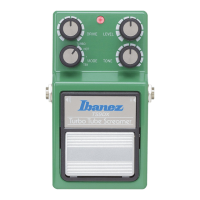 Preview: Ibanez TS9DX