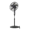 Fan Logo