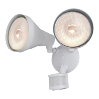 Preview: Patriot Lighting OW9227W