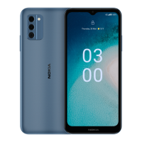 Preview: Nokia C300