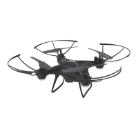 Preview: sky rider Phoenix DRW329