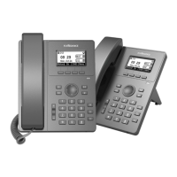 Preview: Flyingvoice P10W