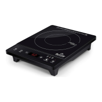 Preview: Secura Duxtop E210C2