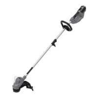 Preview: GreenWorks STF310