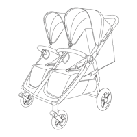 Preview: MAST M.Twin x