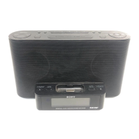 Preview: Sony XDR-DS12iP