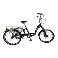 Preview: BuyTricycle Scout