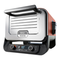 Preview: Ninja WOODFIRE OO100 Series