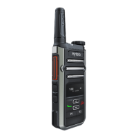 Preview: Hytera BP36X