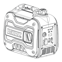 Preview: DeWalt DXGNi20E