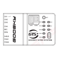 Preview: Goosky GTS