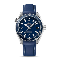Preview: SEAMASTER PLANET OCEAN 600M OMEGA CO-AXIAL 42 MM