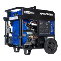 Preview: DUROMAX DUALFUEL XP15000EH