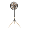 Fan Logo