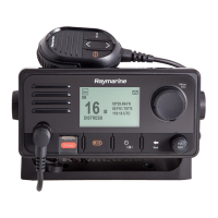 Preview: Raymarine RAY63