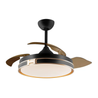 Preview: Schuller 175197D