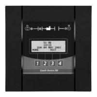 Preview: GE Entelli-Switch 250