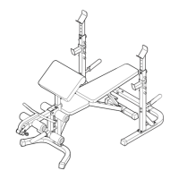 Preview: Weider WEBE96120.0