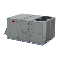 Preview: Trane YZJ150