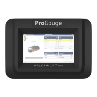 Preview: Dover ProGauge MagLink LX 4
