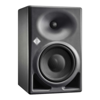 Preview: Neumann.Berlin KH 120 II AES67