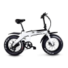 Bicycle Logo