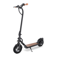 Preview: Jetson Copperhead JCOPHD-BLK