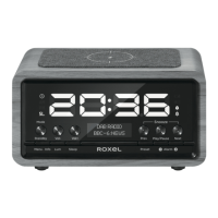Preview: ROXEL DAB RADIO NOD2