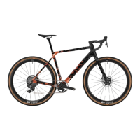Preview: Canyon GRAIL R119