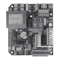 Preview: RIB K 2007 CRX